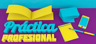 PRACTICA PROFESIONAL - EDUC. FISICA