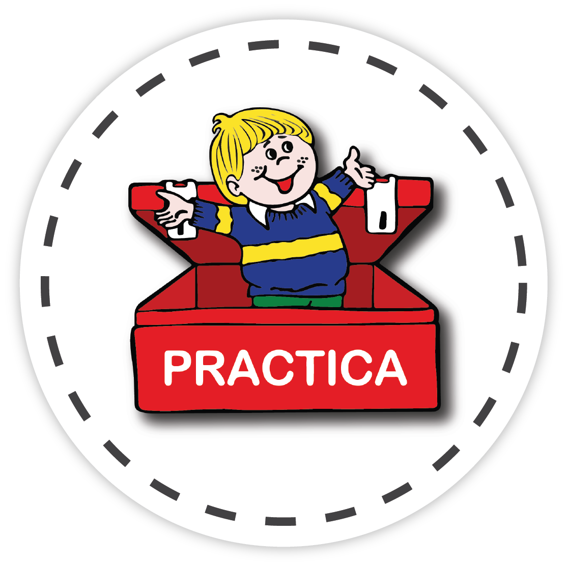 Práctica Profesional